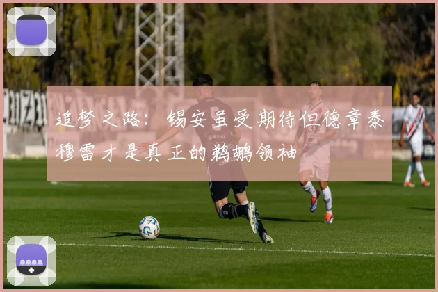 追梦之路：锡安虽受期待但德章泰穆雷才是真正的鹈鹕领袖
