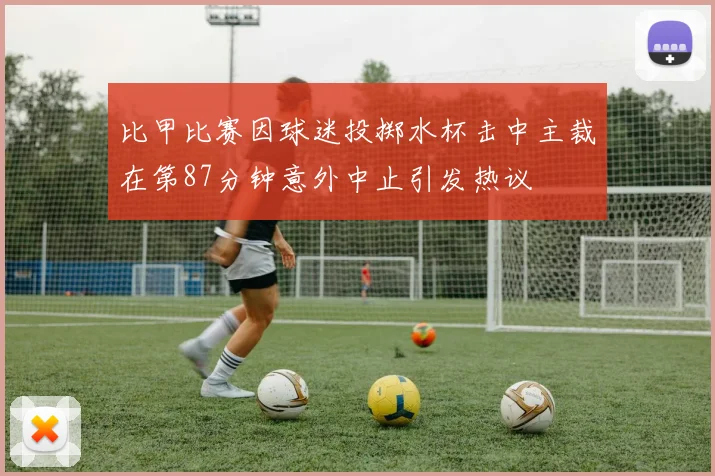 比甲比赛因球迷投掷水杯击中主裁在第87分钟意外中止引发热议
