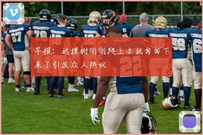 早报：这棵树刚刚爬上去就匆匆下来了引发众人热议